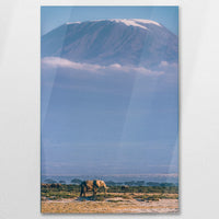 AC-080W120