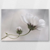 AL-030W020
