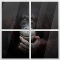 AC-100V100