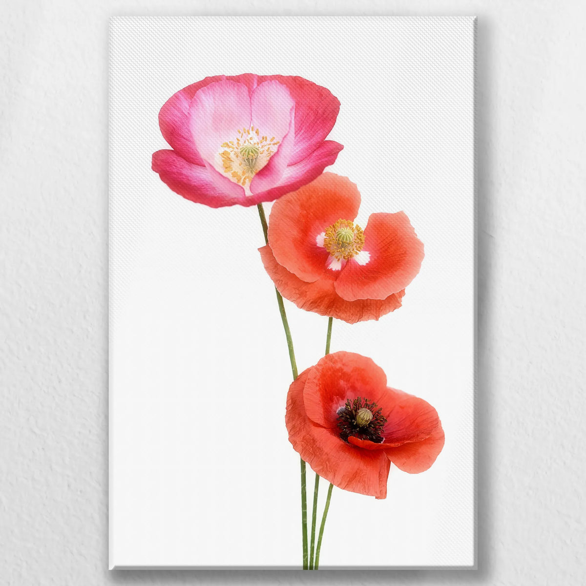 LW-050W075