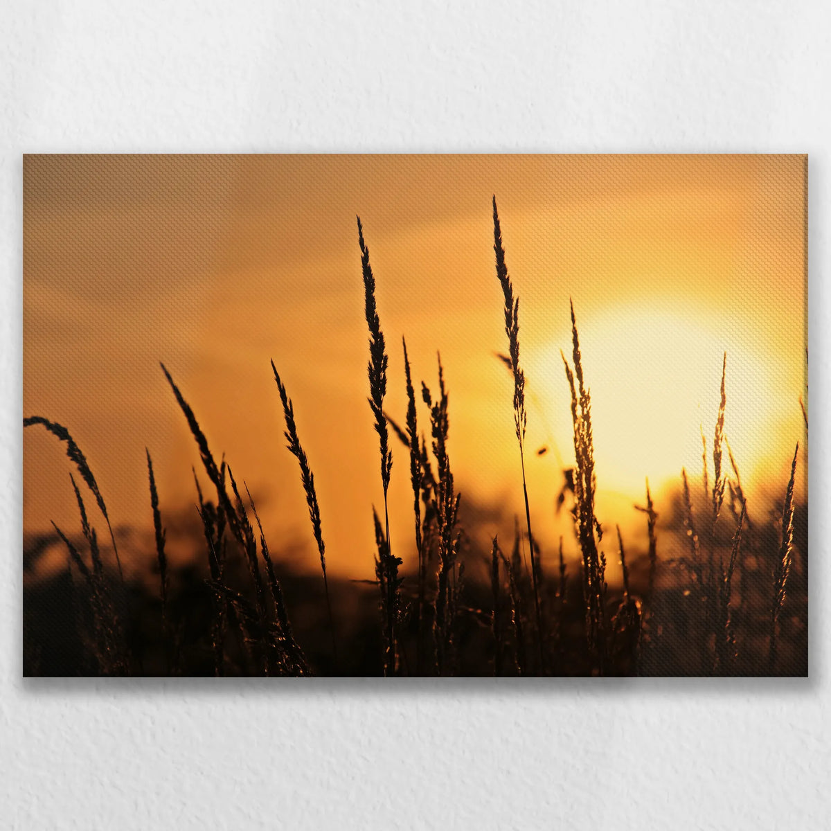 LW-075W050