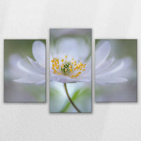 LW-150T100