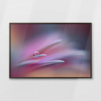 LWN120W080