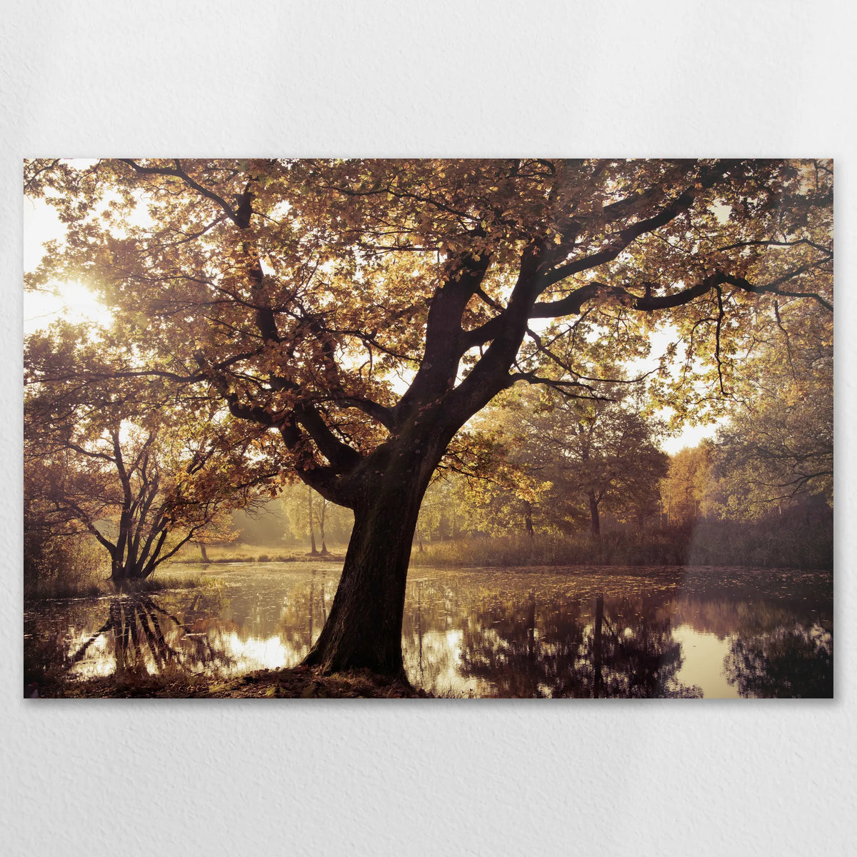 AL-120W080