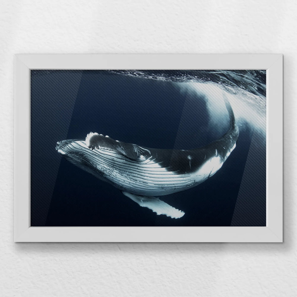 LWW030W020