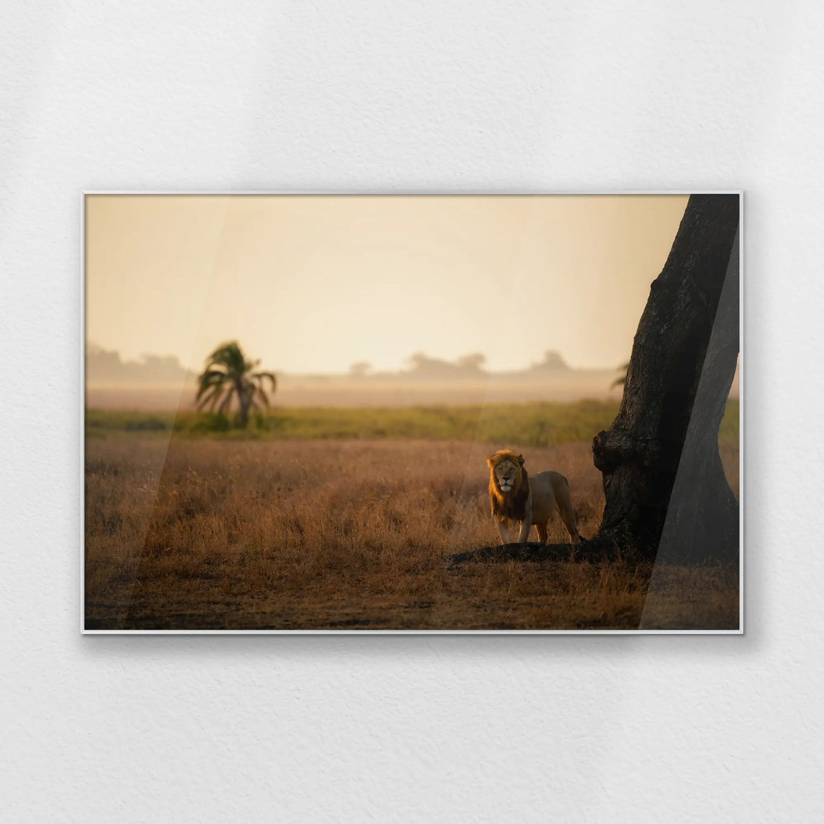 PS-120W080