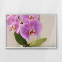 PS-060W040