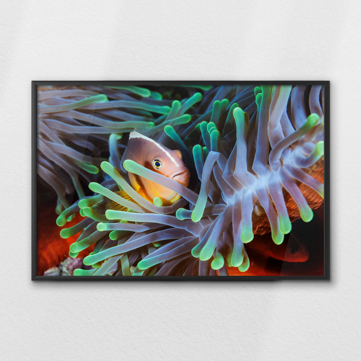 LWB100W070