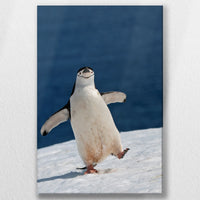 LW-040W060