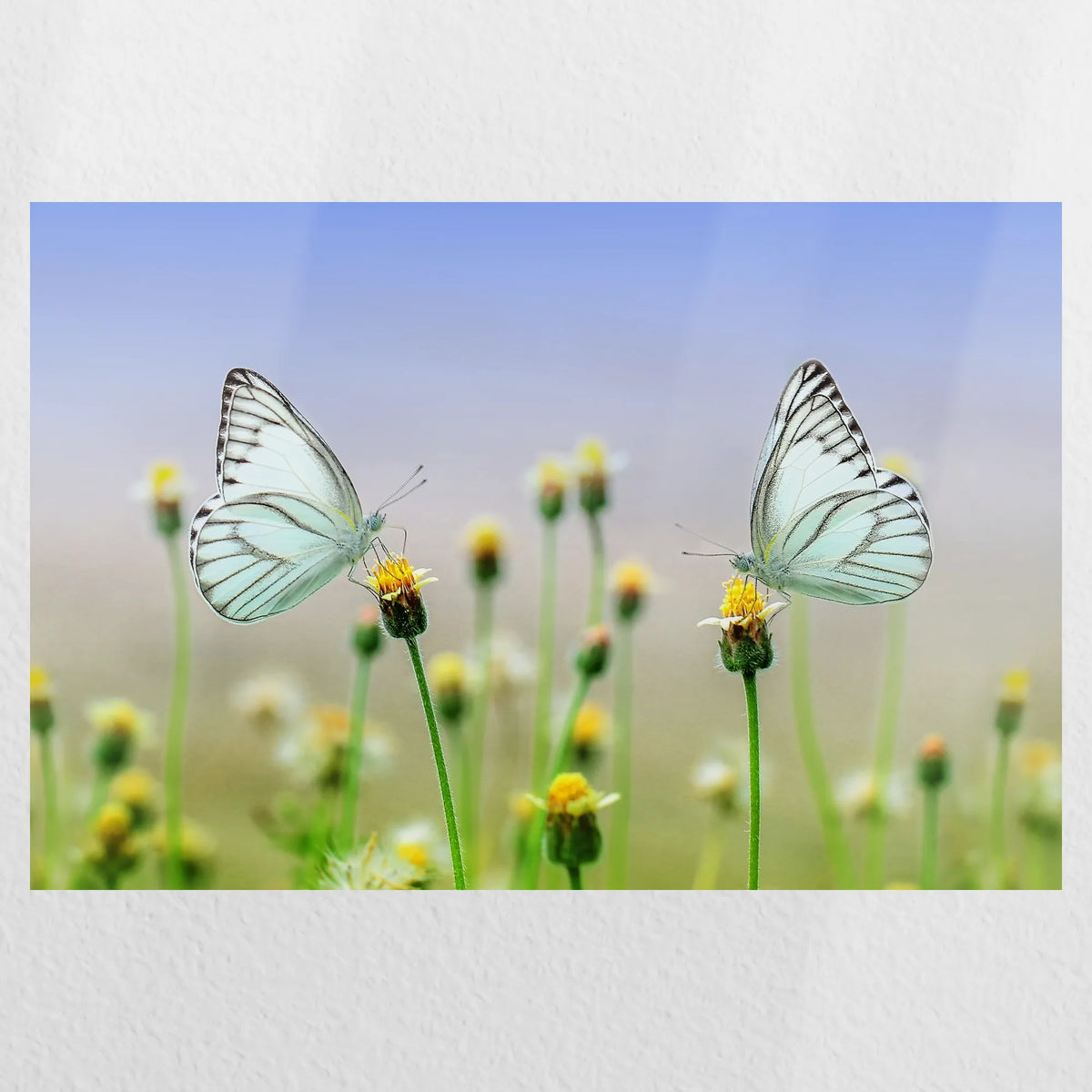 PO-030W020