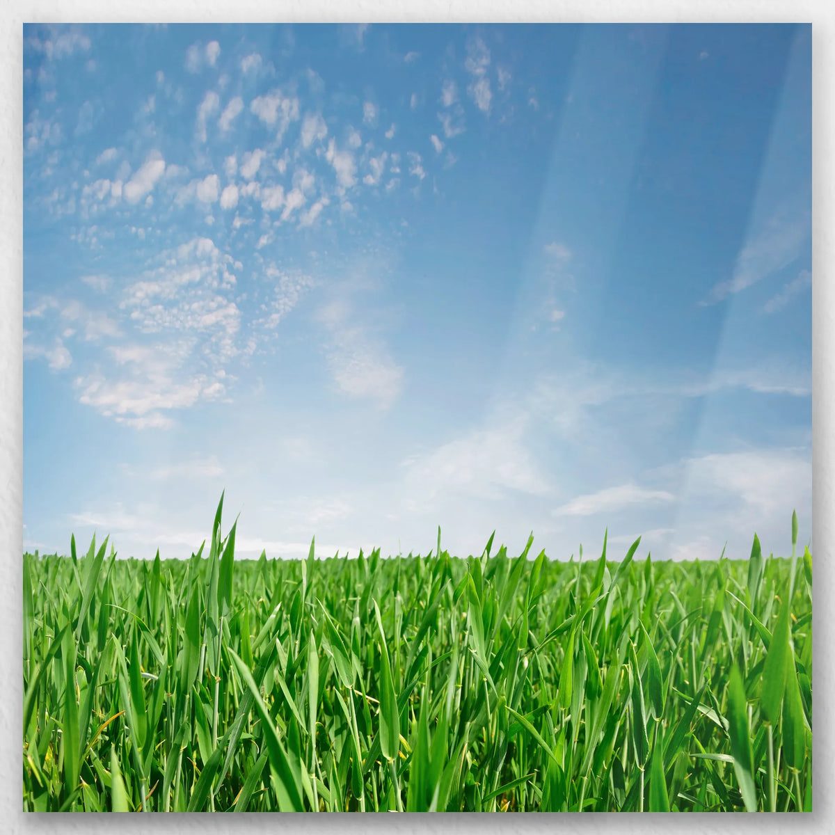 AL-040W040