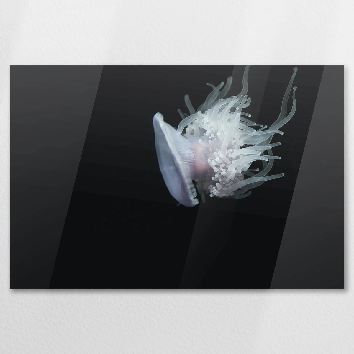 AC-075W050