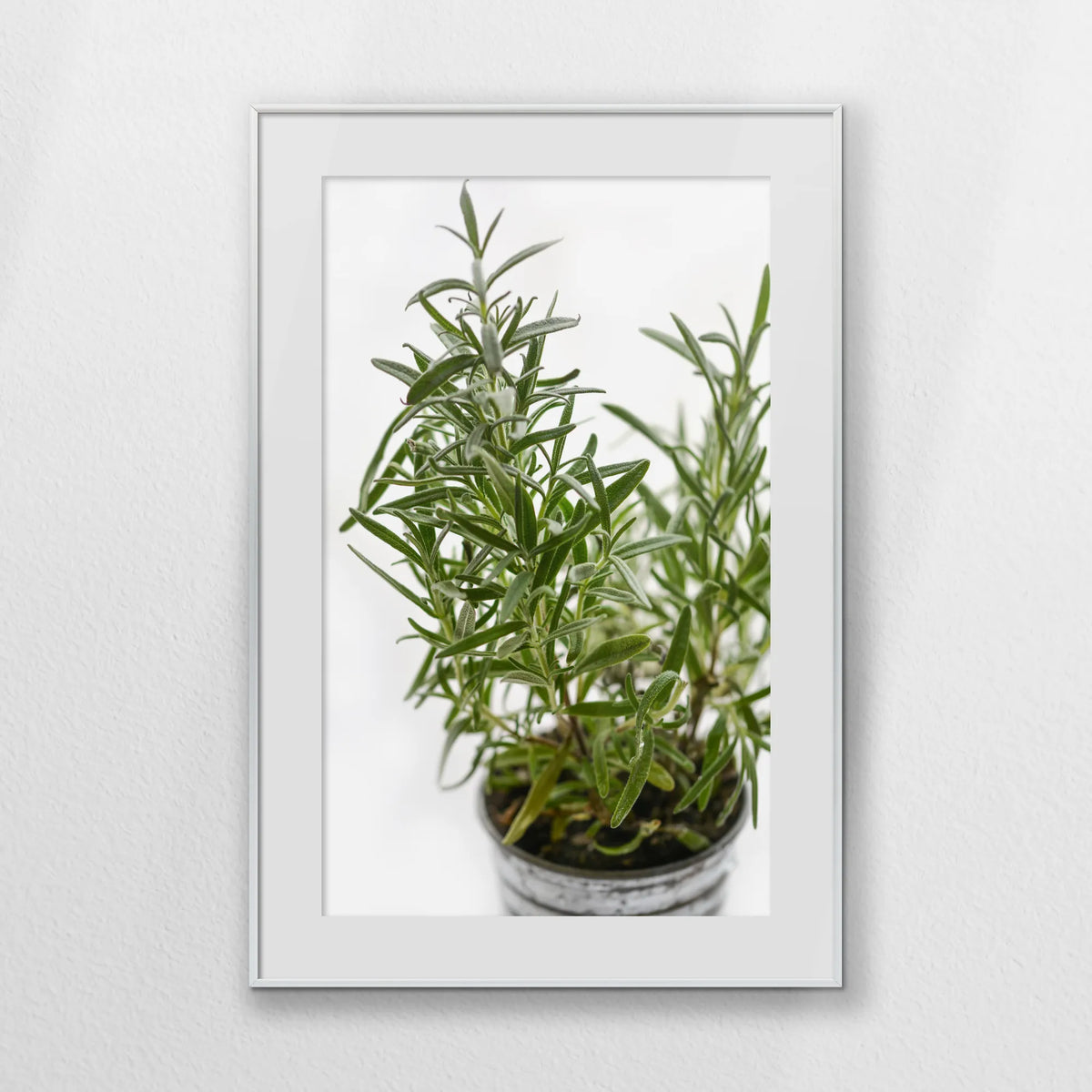 PSP062W093