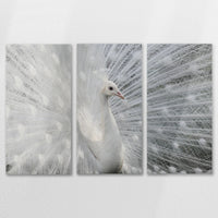 AL-120R080
