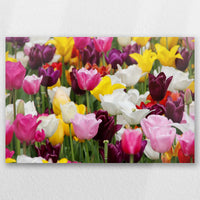 AL-045W030