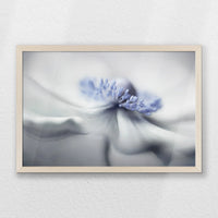 PN-060W040