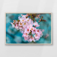 PN-100W070