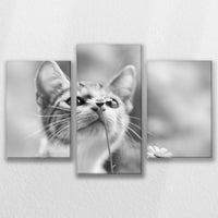 LW-090T060