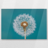 AL-030W020