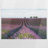 PO-120W080