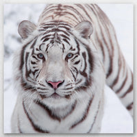 AC-040W040