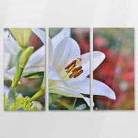 AL-120R080