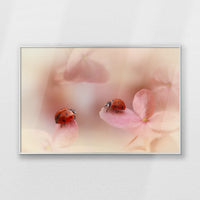 PS-093W062