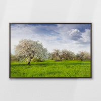 LWN120W080