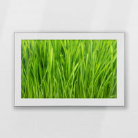PSP120W080