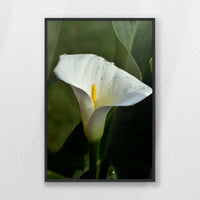 PB-040W060