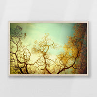 PN-093W062