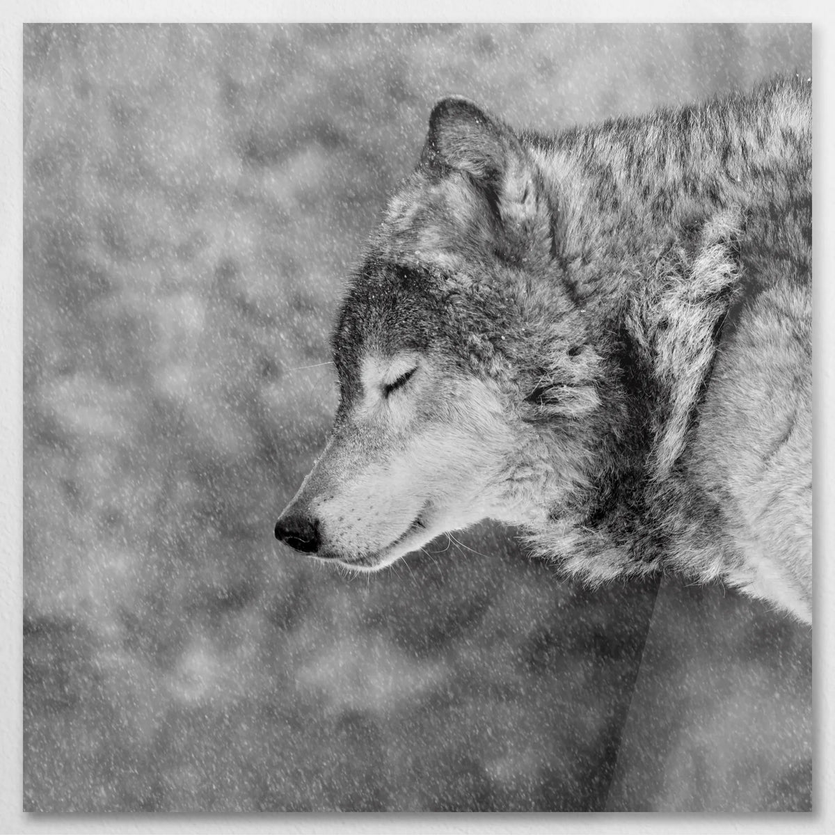 AC-070W070