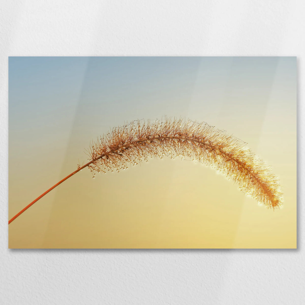 AL-075W050