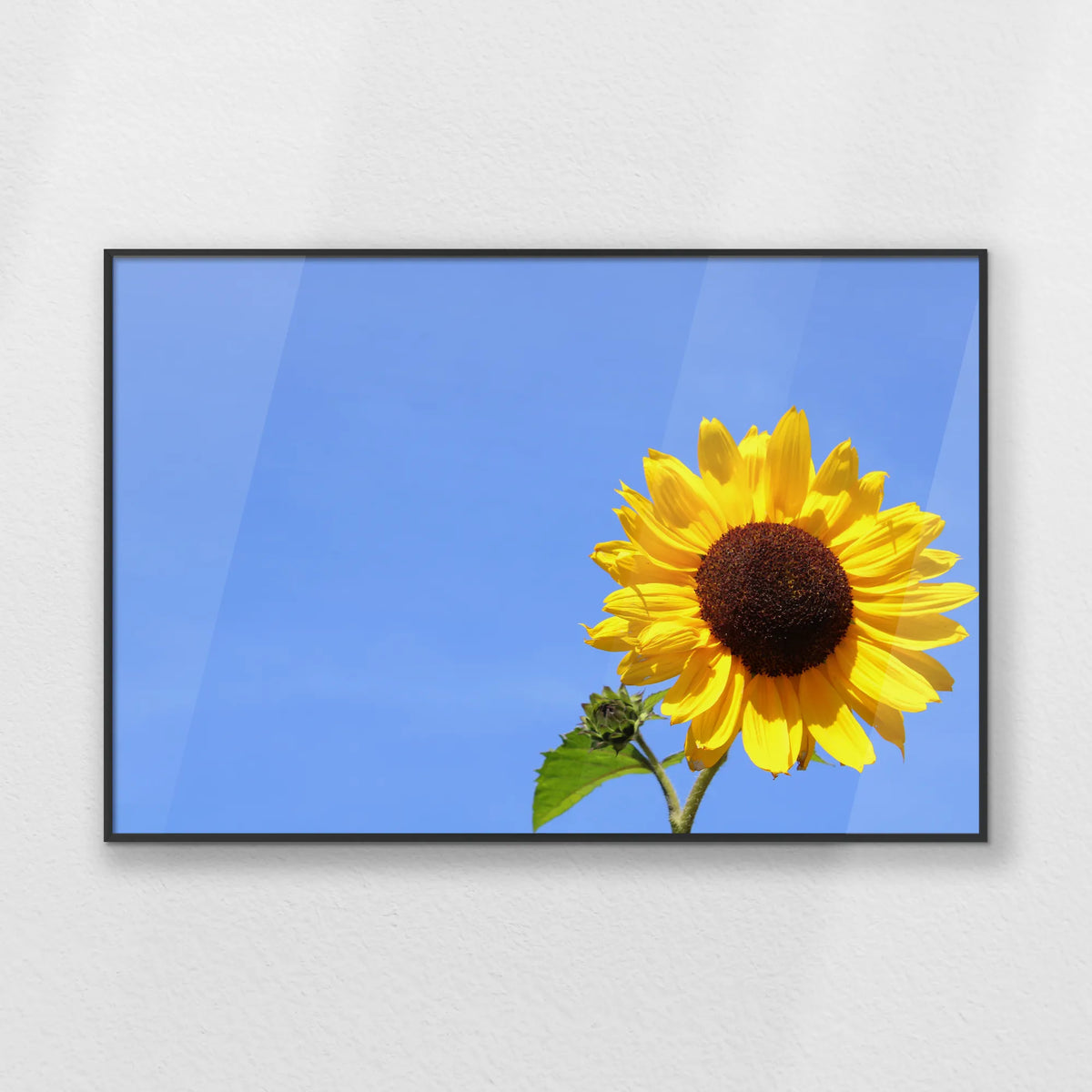 PB-093W062