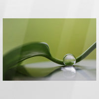 PO-075W050