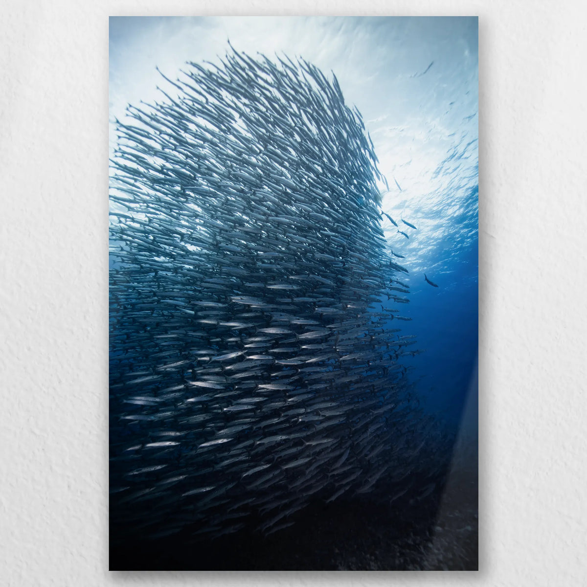 AL-030W045