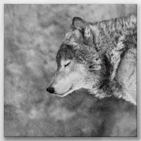 LW-060W060