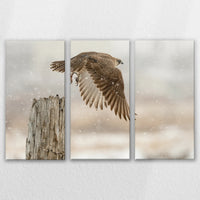LW-120R080