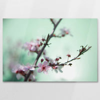 AC-090W060