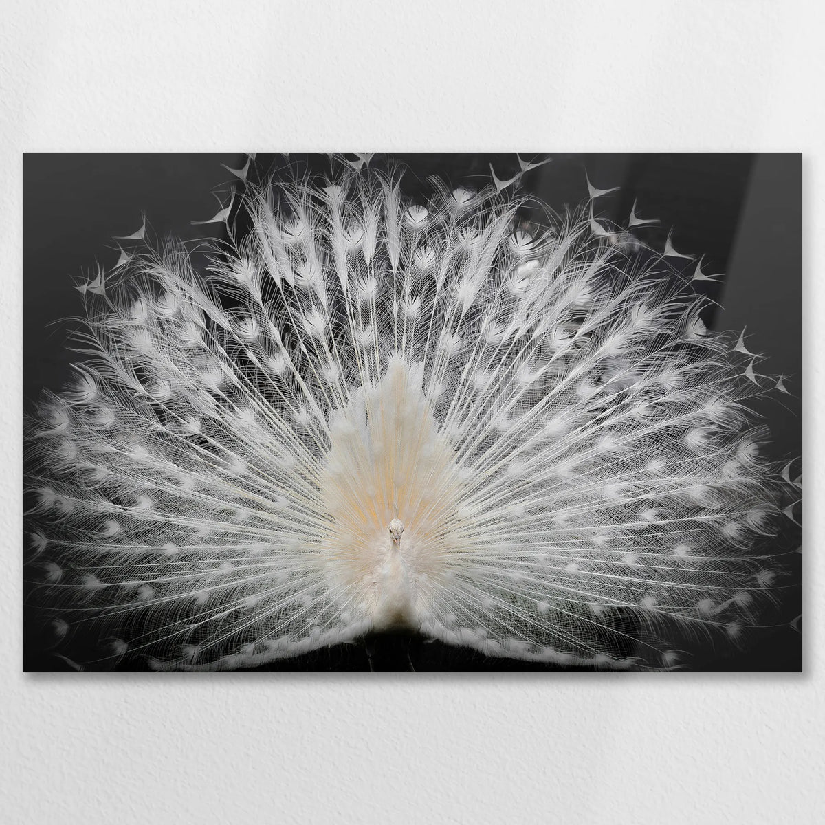 AL-090W060