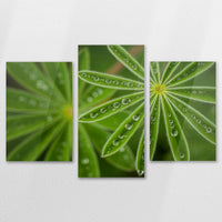 AC-150T100
