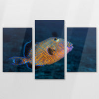 AL-120T080