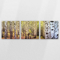 LW-240S080