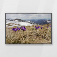 PB-093W062