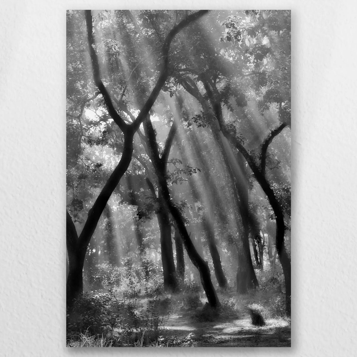 AL-040W060