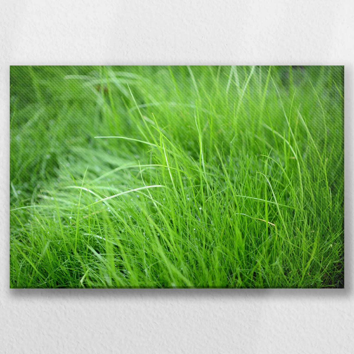 LW-030W020