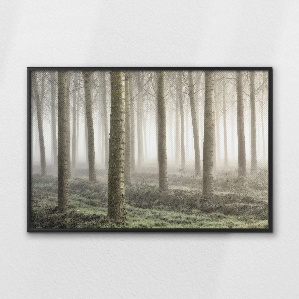 LWB120W080