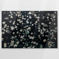 AL-090W060