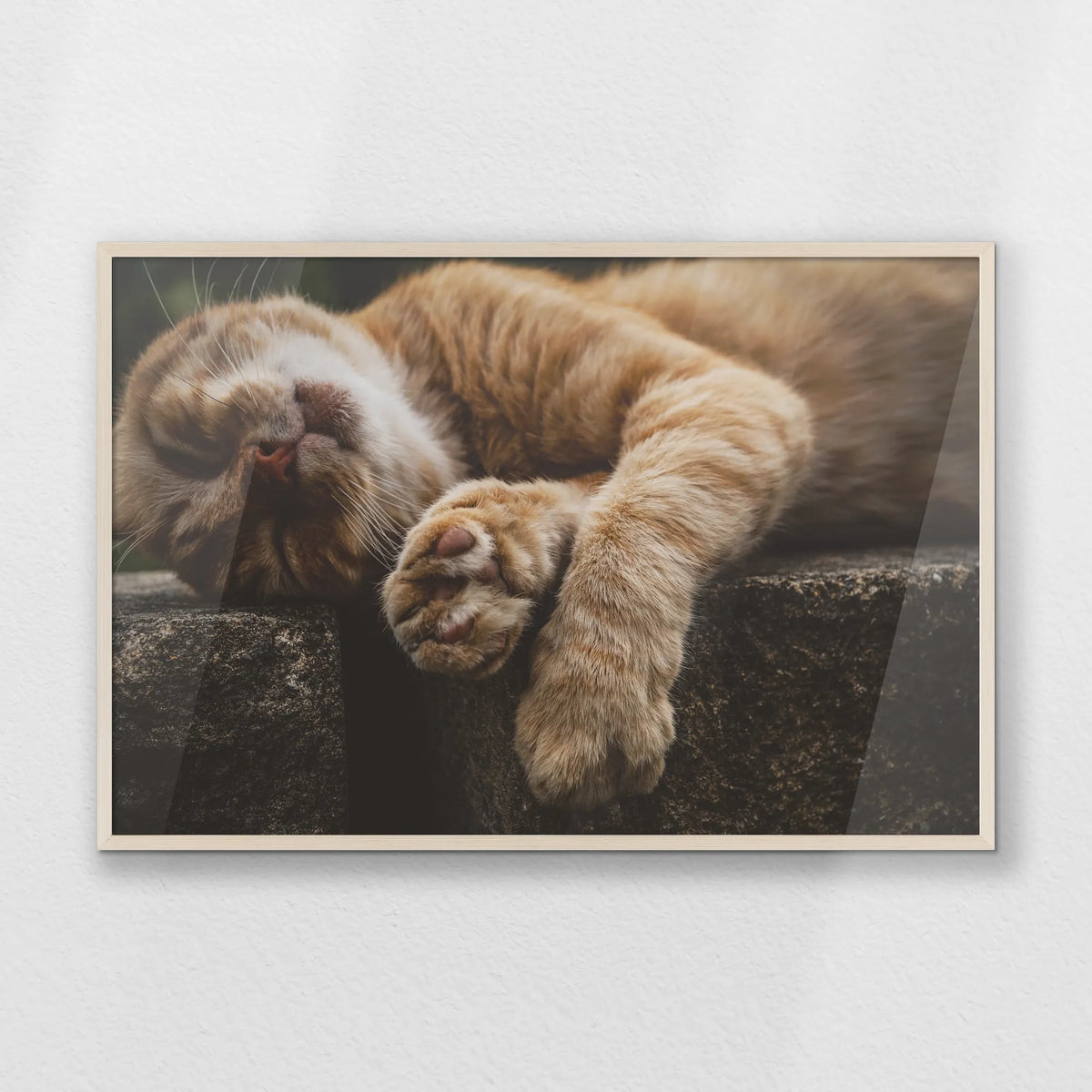 PN-100W070