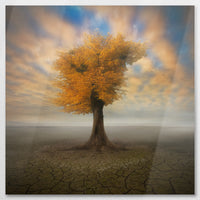 AL-080W080